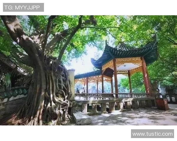 选择最佳前锋足球鞋助你在场上大放异彩的全面指南